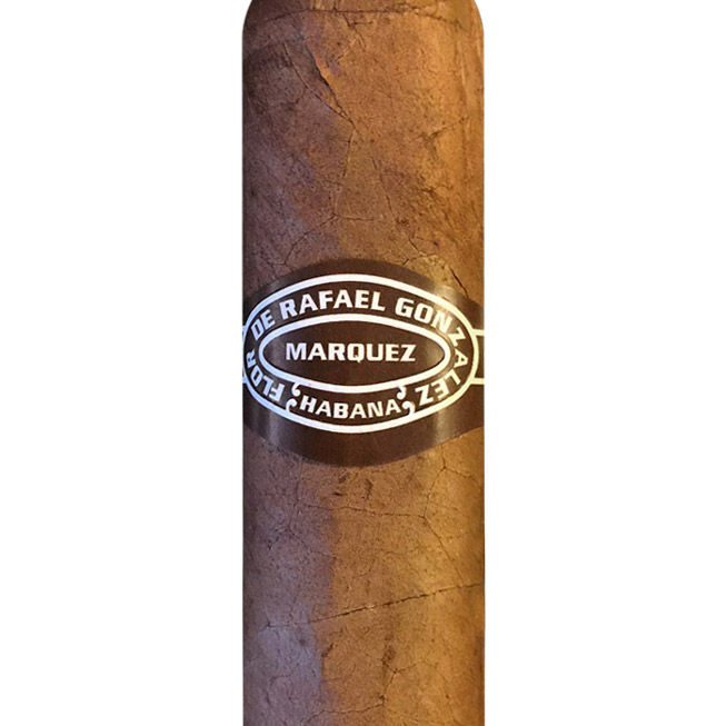 Flor de Rafael González Márquez Dojoverse