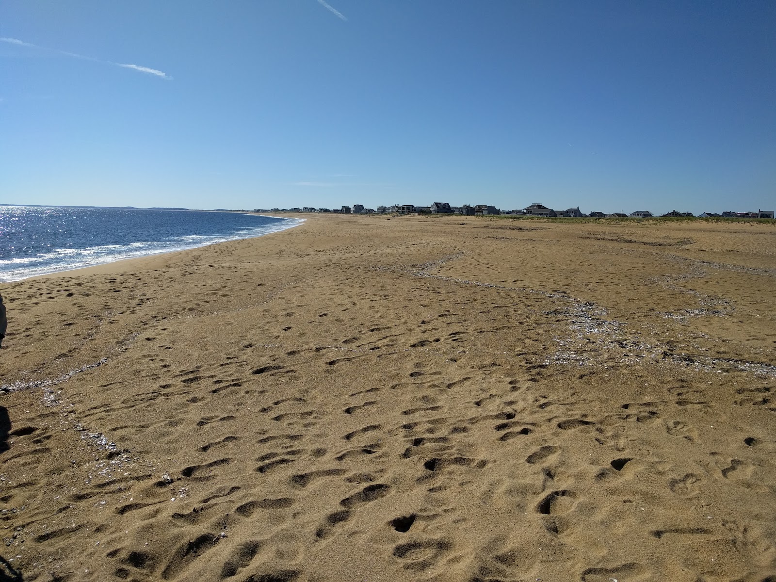 Plum Island Beach Dojoverse