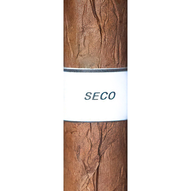 Espinosa Murcielago Anatomy of a Bat: Seco cigar