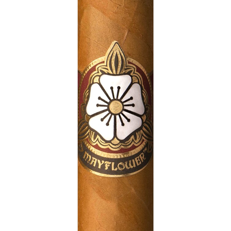 Mayflower Dawn cigar