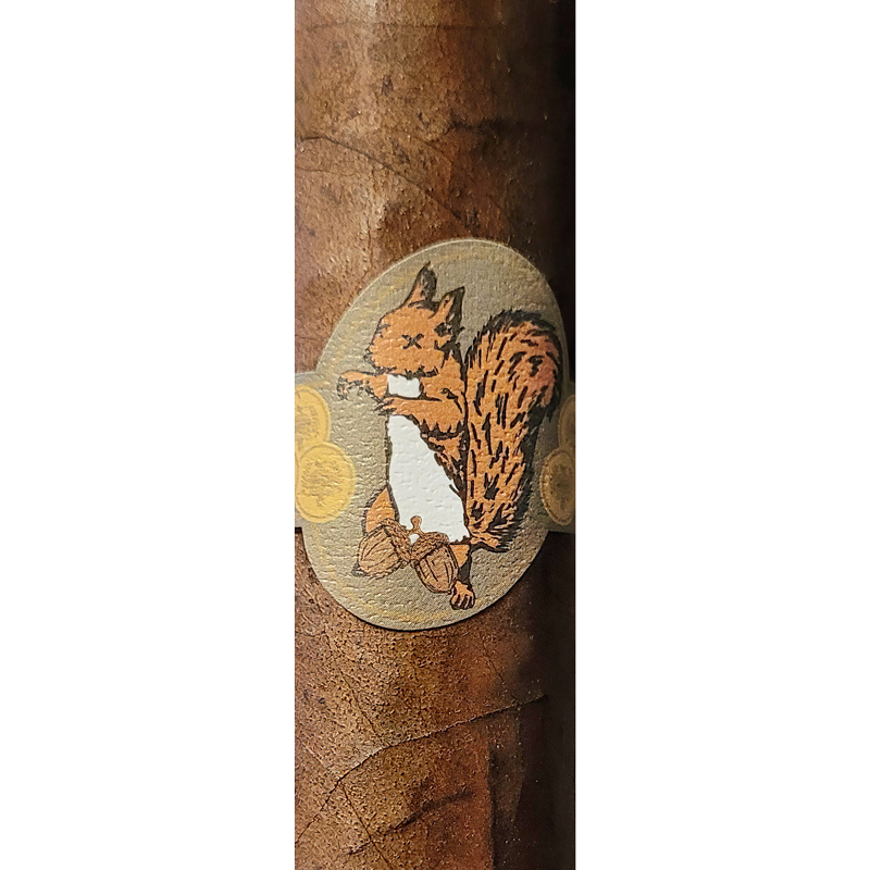 Lost & Found Blind Squirrel Habano cigar