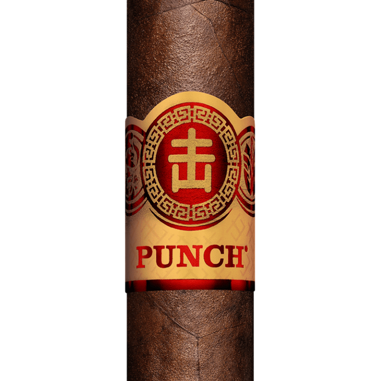 Punch Kung Pow Dojoverse