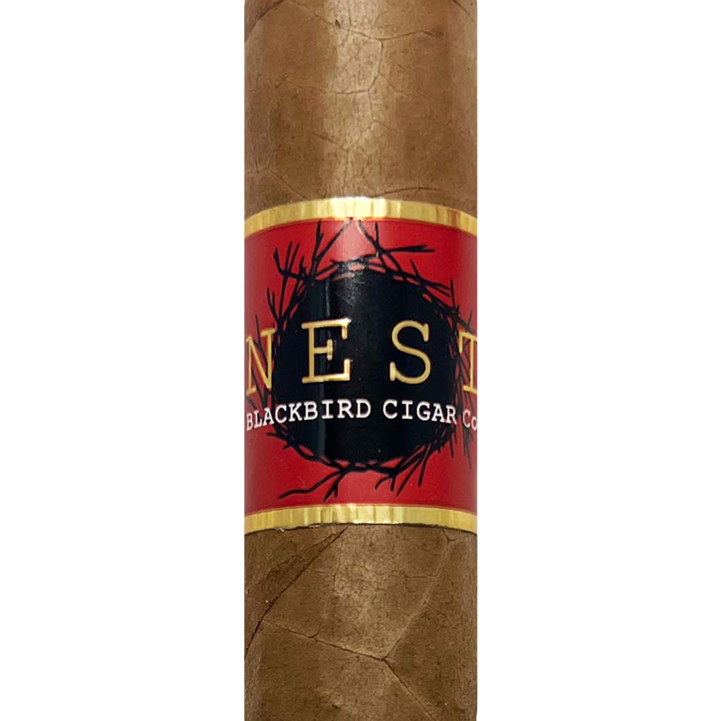 Blackbird Nest Connecticut cigar