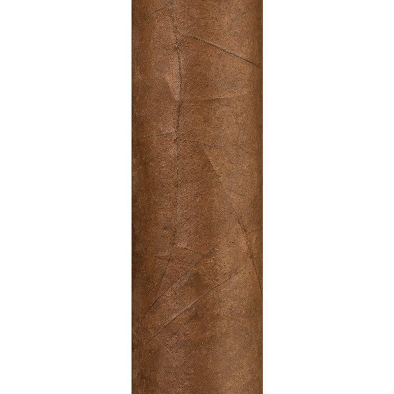 E.P. Carrillo TGS 2023 Exclusive cigar