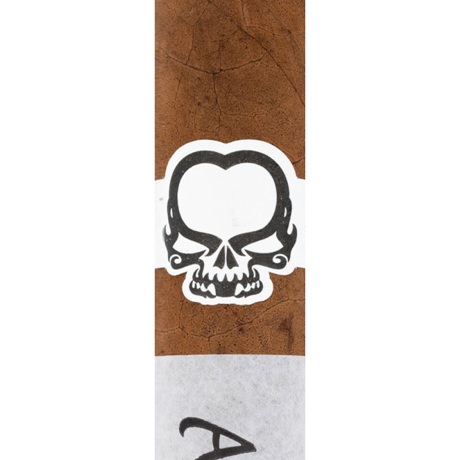 Asylum PCA Exclusive 2024 cigar