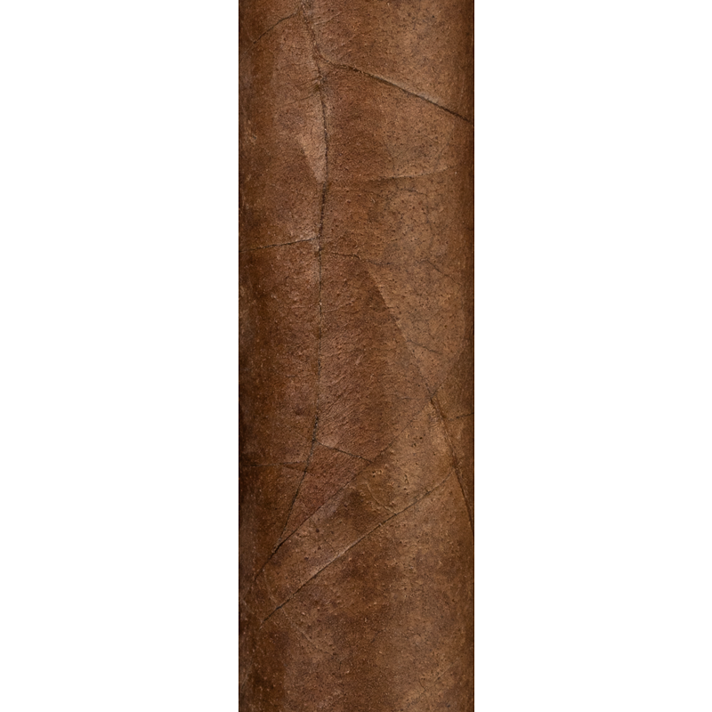 LFD Rolling School Class of 2021 Habano cigar