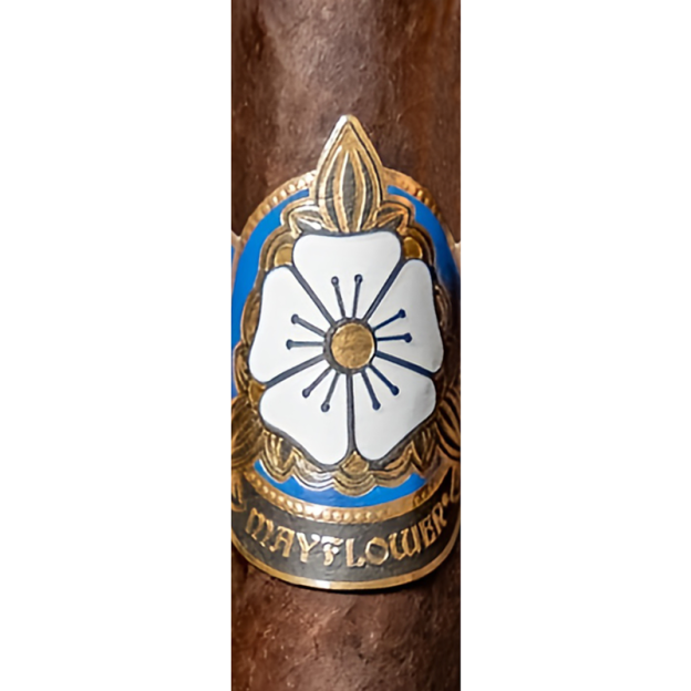 Mayflower Dream cigar