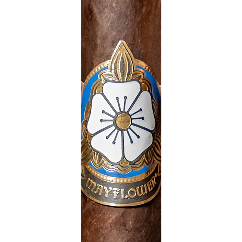 Mayflower Dream cigar