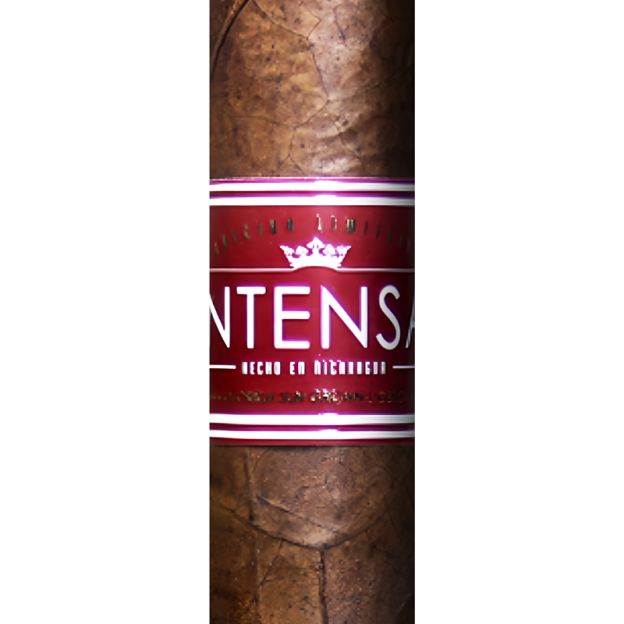 Corona Intensa FSG cigar