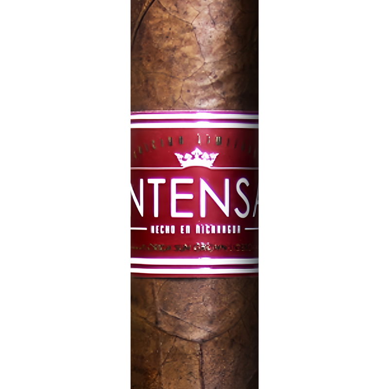 Corona Intensa FSG cigar