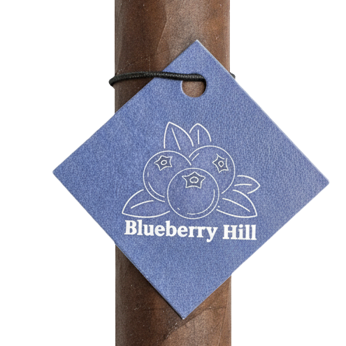 Traficante Blueberry Hill suffused cigar