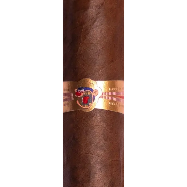 Privada Ramon by La Factoria de Digbanya cigar